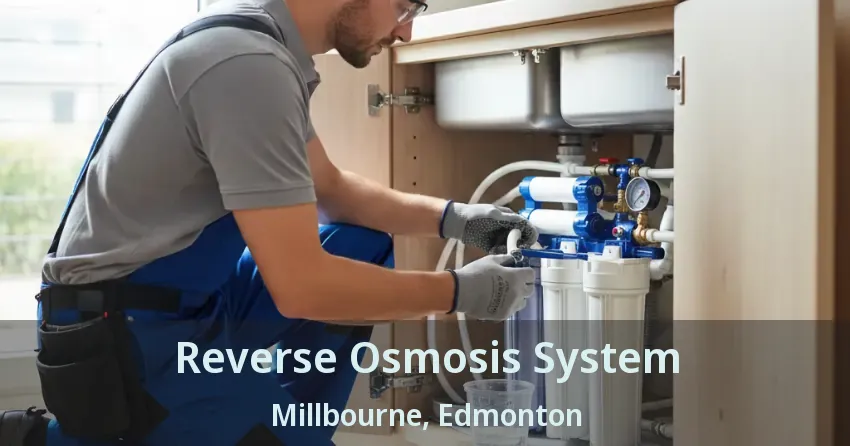 Reverse Osmosis System Millbourne, Edmonton - AB