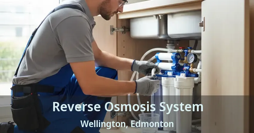Reverse Osmosis System Wellington, Edmonton - AB