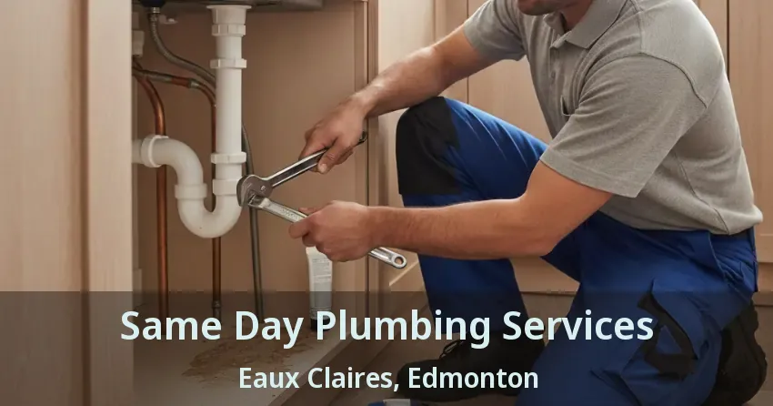 Same Day Plumbing Services Eaux Claires, Edmonton - AB