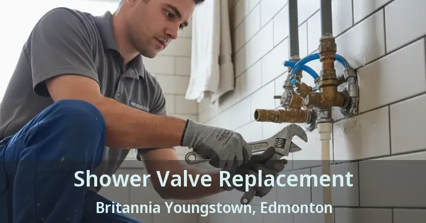 Shower Valve Replacement Britannia Youngstown, Edmonton - AB