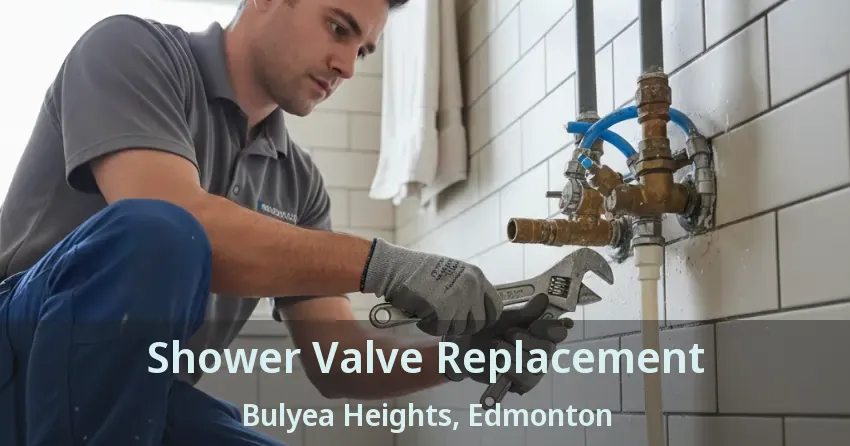 Shower Valve Replacement Bulyea Heights, Edmonton - AB