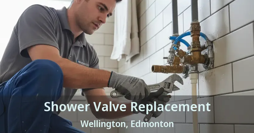 Shower Valve Replacement Wellington, Edmonton - AB