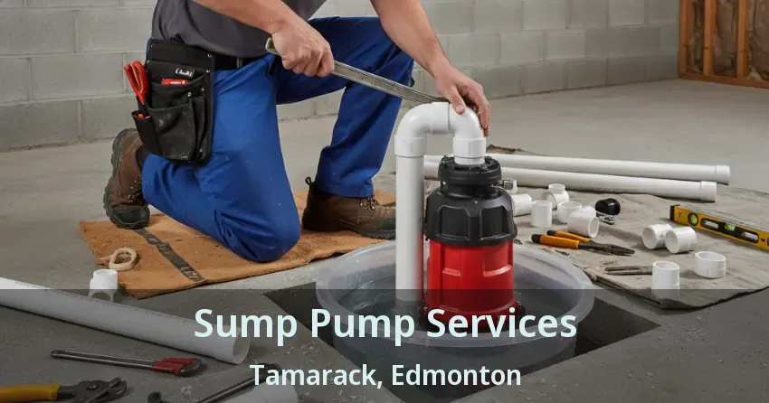 Sump Pump Services Tamarack, Edmonton - AB