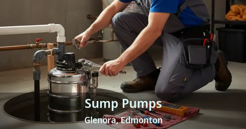 Sump Pumps Glenora, Edmonton - AB