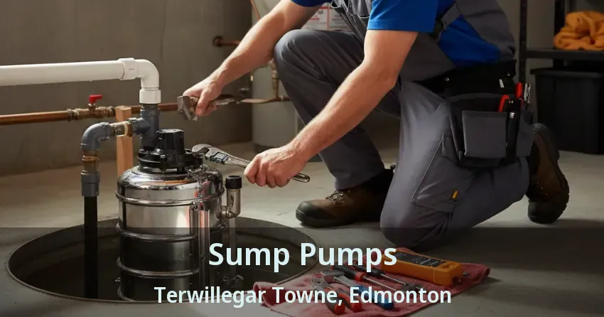 Sump Pumps Terwillegar Towne, Edmonton - AB