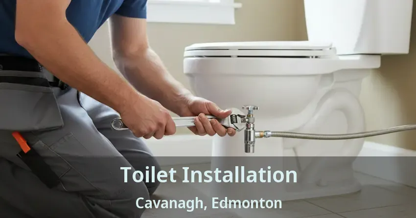 Toilet Installation Cavanagh, Edmonton - AB