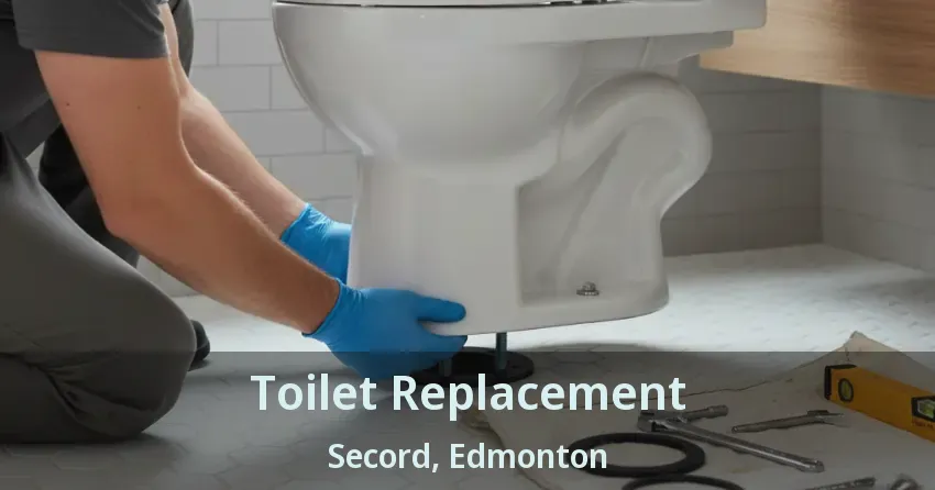 Toilet Replacement Secord, Edmonton - AB