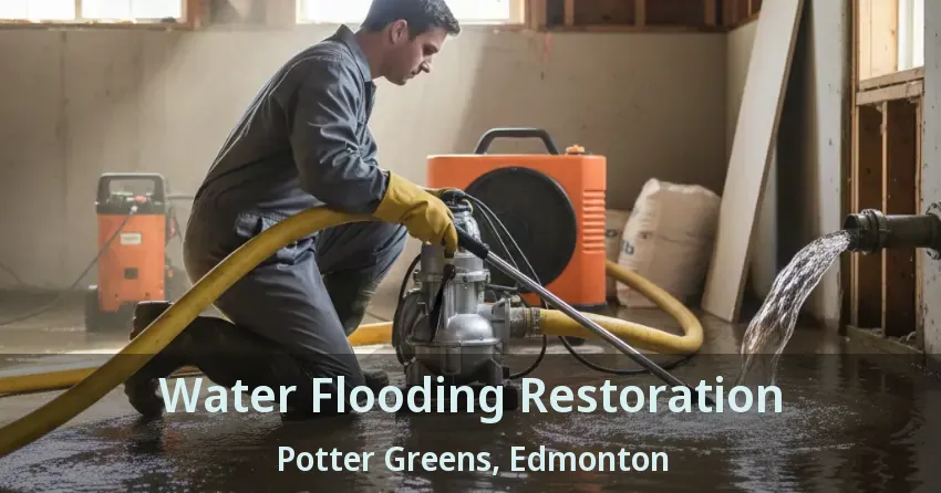 Water Flooding Restoration Potter Greens, Edmonton - AB