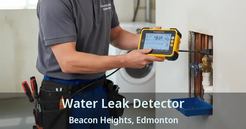 Water Leak Detector Beacon Heights, Edmonton - AB