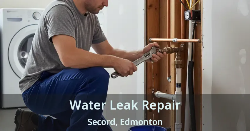 Water Leak Repair Secord, Edmonton - AB