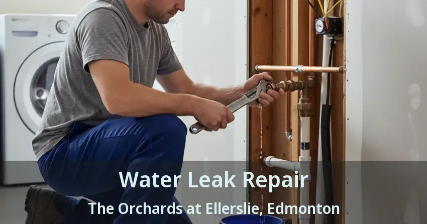 Water Leak Repair The Orchards at Ellerslie, Edmonton - AB