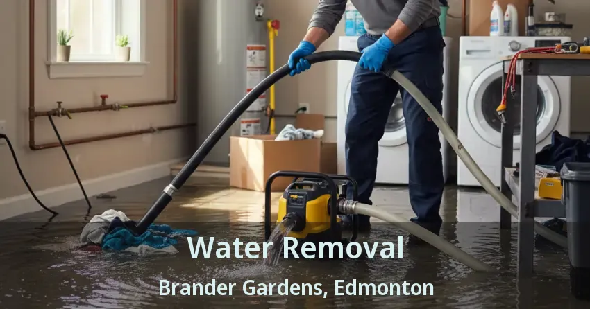Water Removal Brander Gardens, Edmonton - AB