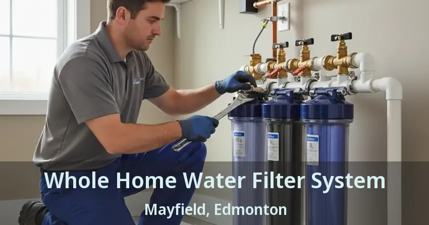 Whole Home Water Filter System Mayfield, Edmonton - AB
