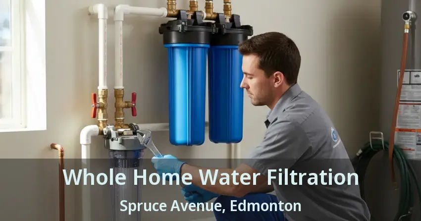 Whole Home Water Filtration Spruce Avenue, Edmonton - AB